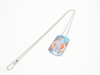 Nom Tag de chien